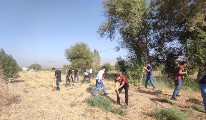 Environmental actions in the city of Gissar