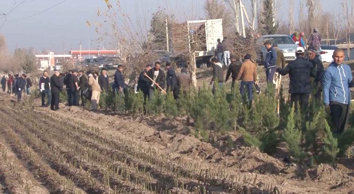 The sowing campaign is expanding in the Khatlon region