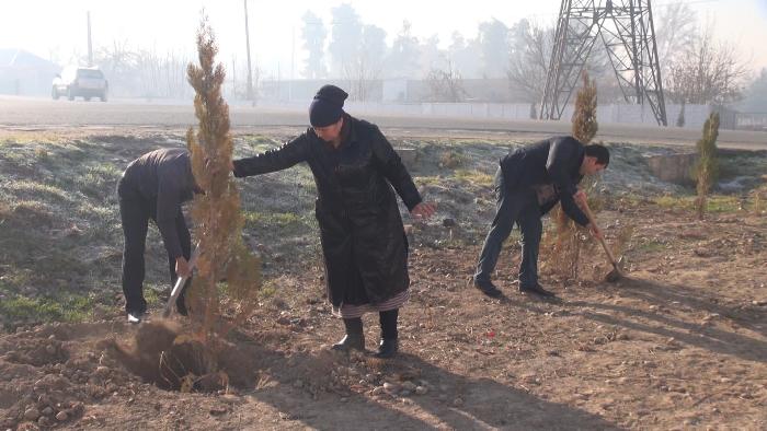 Tree planting in the Jaloliddini district of Balkhi