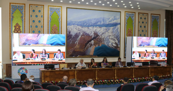 Participation of representatives of environmental authorities in thematic panels