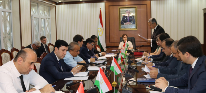 Weekly meeting of the Committee on Environmental Protection under the Government of the Republic of Tajikistan