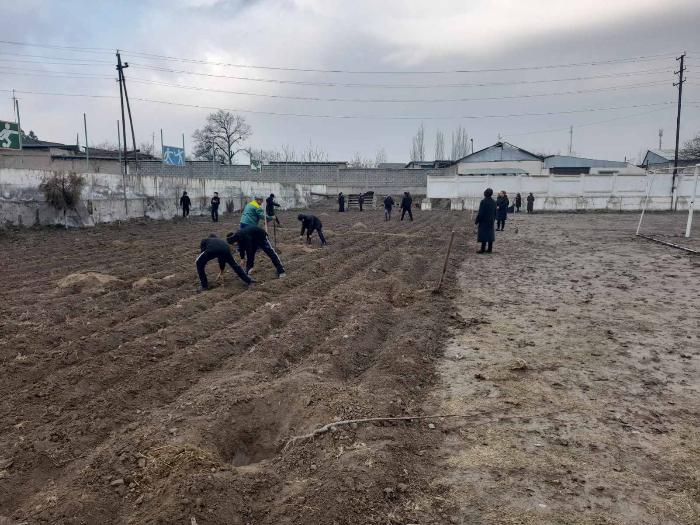"Clean Area" and tree planting campaigns were held in Jabbor Rasulov district