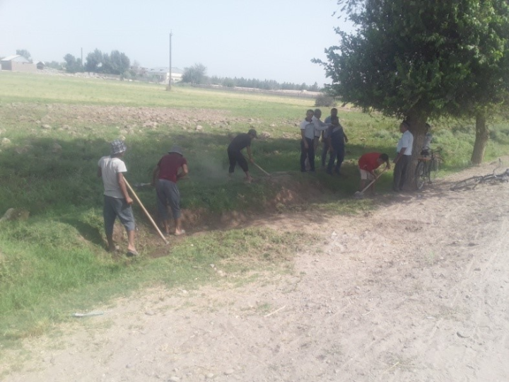 Carrying out environmental actions in the Shahritus district