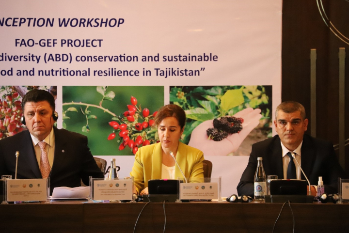 Inception workshop to launch the GEF-FAO project “Facilitating agrobiodiversity (ABD) conservation and sustainable use to promote food and nutritional resilience in Tajikistan”.