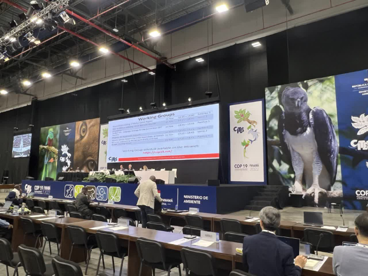 Participation of the Vice-Chairman of the Committee in the 19th Conference of the Parties to the Convention on International Trade in Endangered Species of Wild Fauna and Flora (CITES)