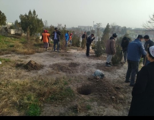 Tree planting campaign in Bokhtar