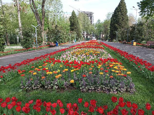 Душанбе шаҳри гулрез 