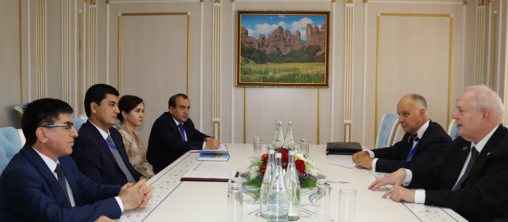 Meeting of the Chairman of the Committee with the delegation of Great Britain