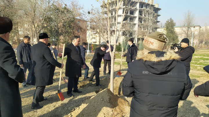 Action "Restoration of trees in the cultural and entertainment park"