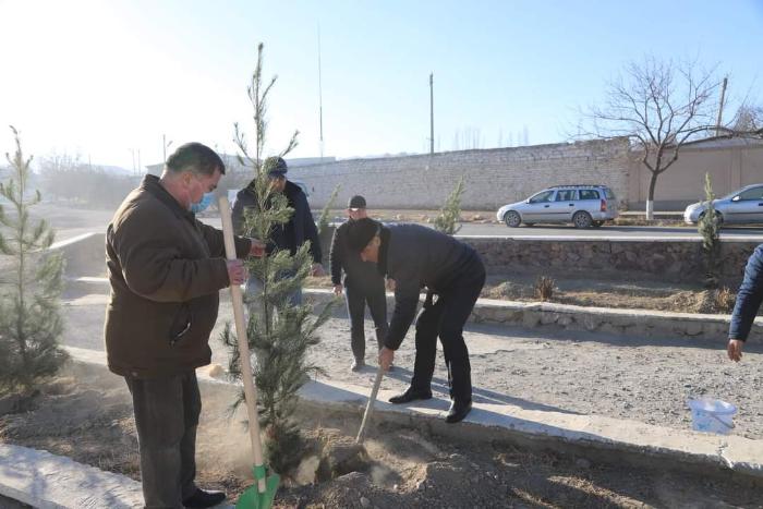 Landscaping campaign in the city of Isfara