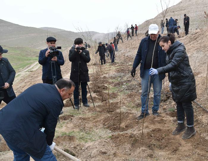 Planting seedlings on the territory of the Republican dump of toxic chemicals in the Vakhsh district of the Khatlon region