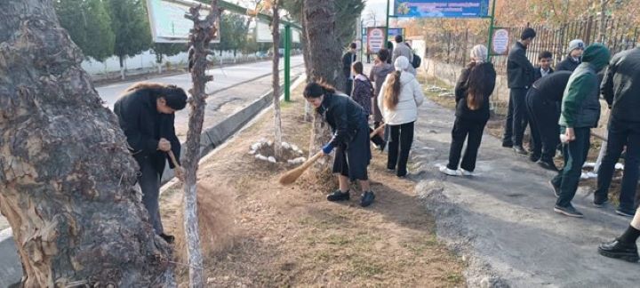 Environmental actions in the city of Gissar