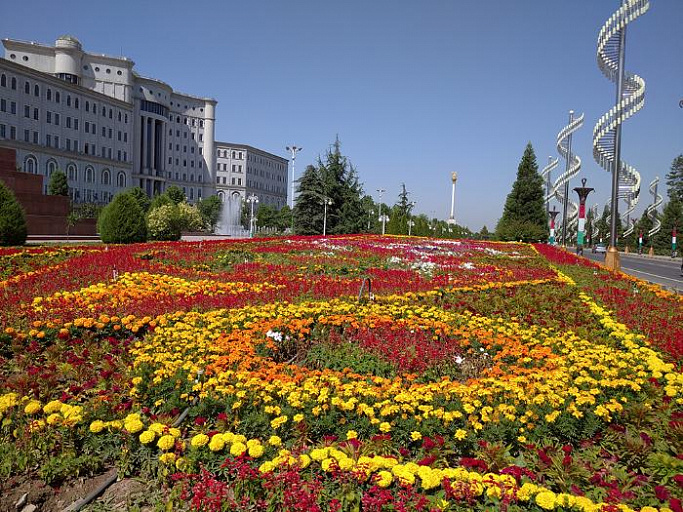 Approval of the plan for planting flowers and trees in the capital