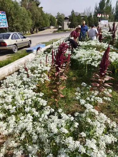 Проведение экологических акций в городе Вахдат