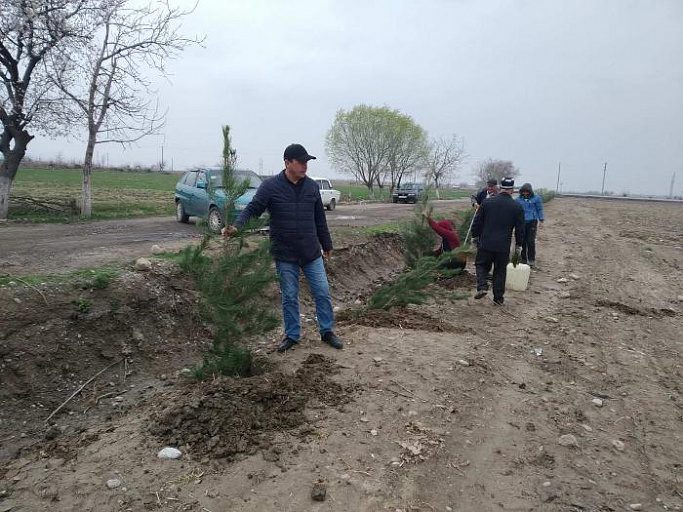 Посадочная кампания в Джаббор Расуловском районе