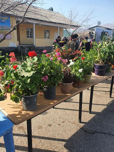 Ярмарка по продаже саженцев в городе Гиссар