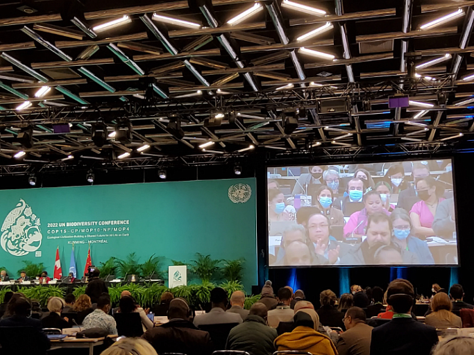Plenary session of the UN Convention on Biological Diversity