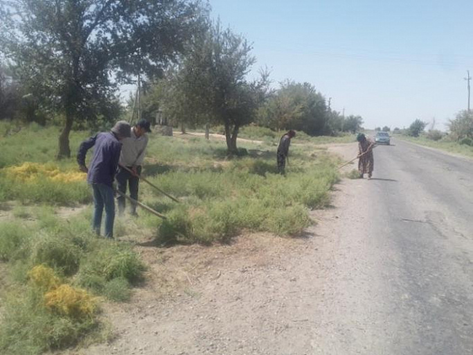 Environmental campaigns in the Shahritus district